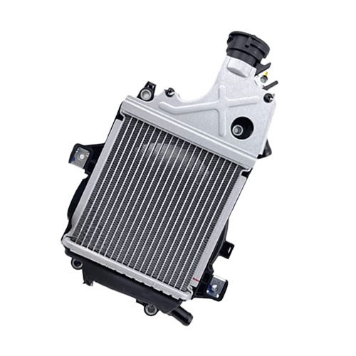 Radiator Motor