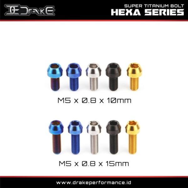Drake Baut L Titanium M5 Hexa Series Grade 5 Original